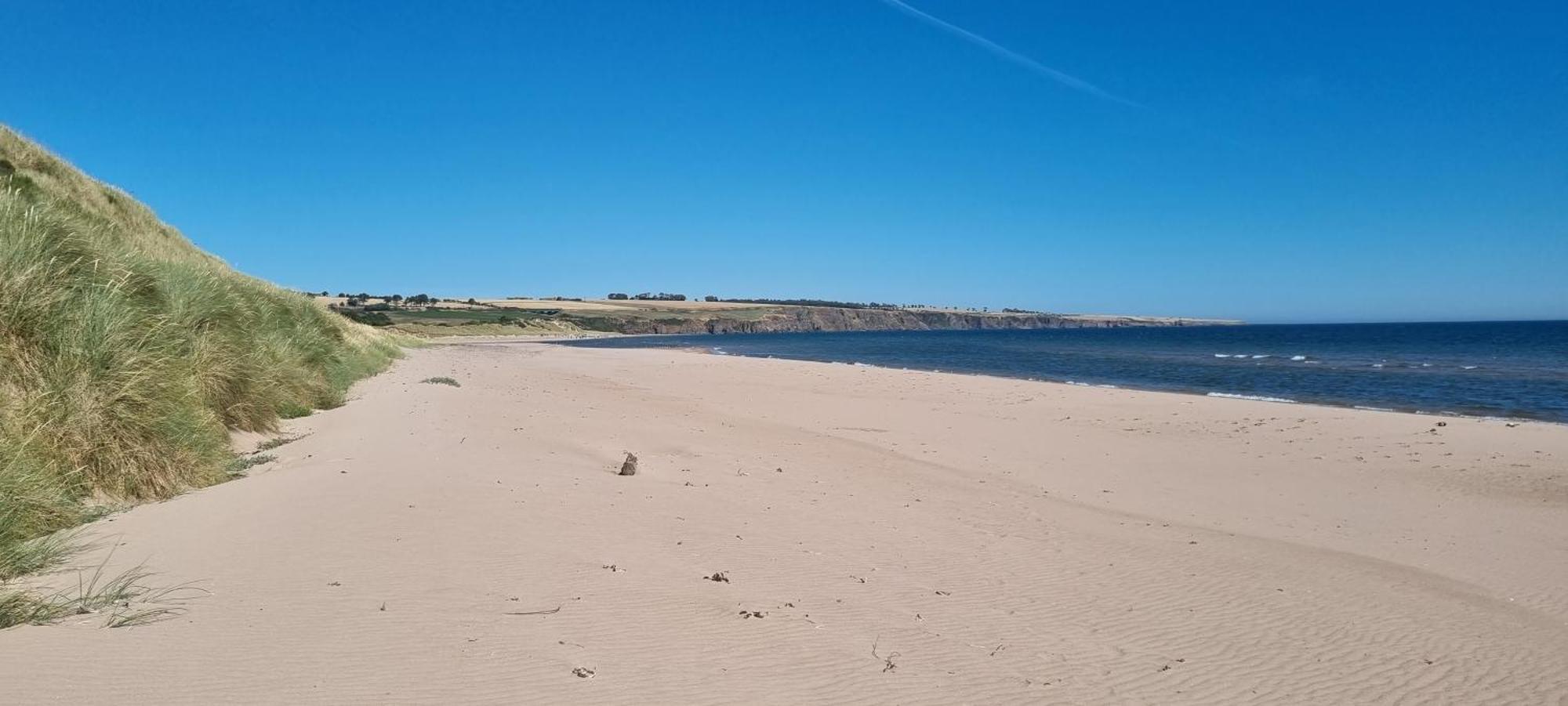 Auburn Cottage Arbroath Esterno foto